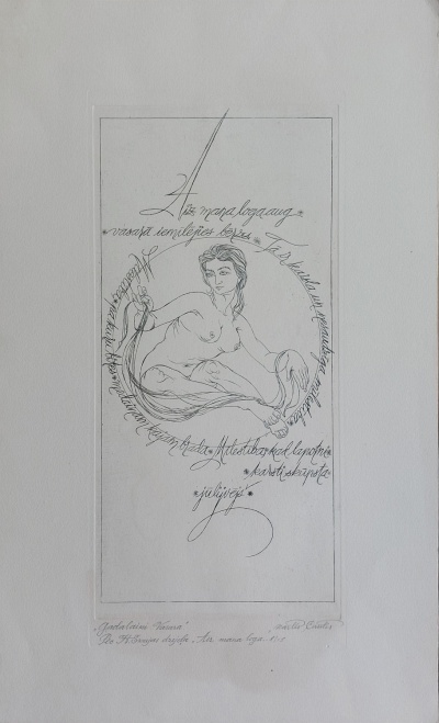 Изображение 283